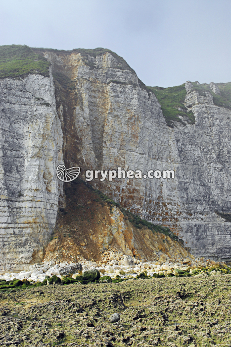 Effondrement d'une falaise de craie (Etretat) - gryphea.org